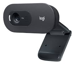 Logitech C505E HD Webcam
