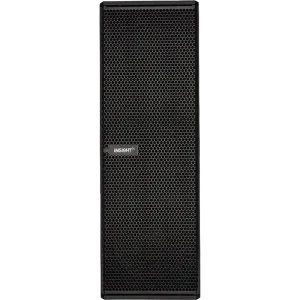 INSIGHT Fulrange Speaker IN241CP